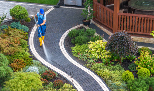 Best Roof Power Washing Services  in Greenwood, AR